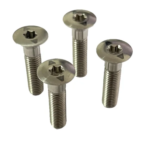 Accessoires PlanchesArmstrong Mast Top M7-26mm Titanium Screws – a l’unité