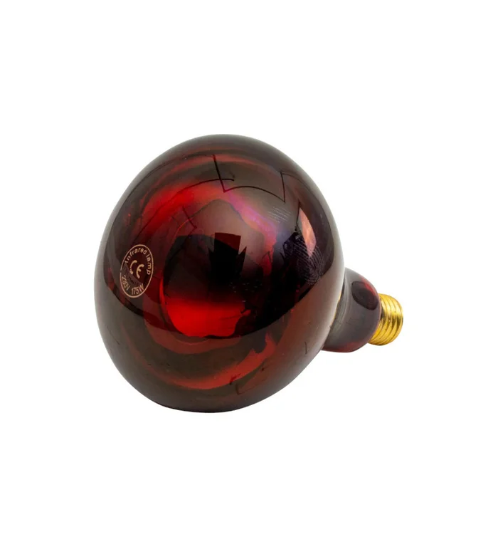 Ampoule infrarouge IR 175 W rouge
