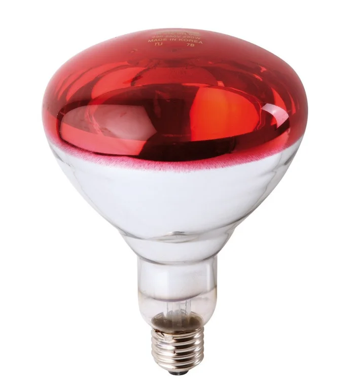 Ampoule PHILIPS IR à vis rouge 150W