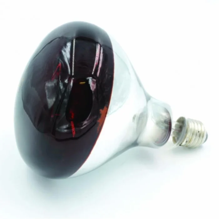 AMPOULE POUR ELEVEUSE 175W