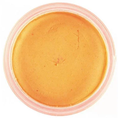 Appât à truites Berkley PowerBait – Orange fluorescent