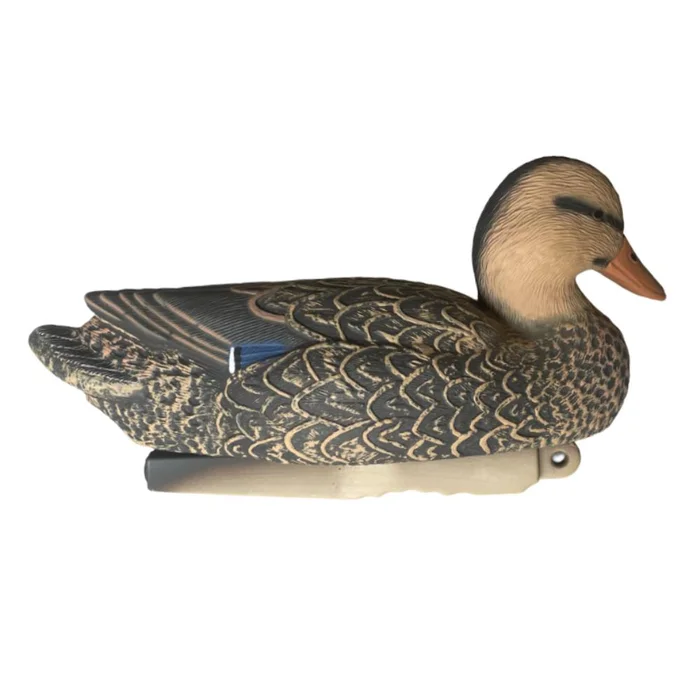 APPELANT COLVERT FEMELLE HD