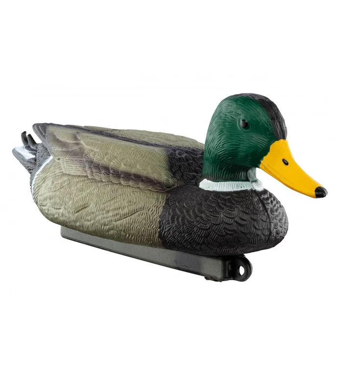 Appelant colvert mâle