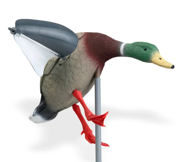 Appelant Colvert