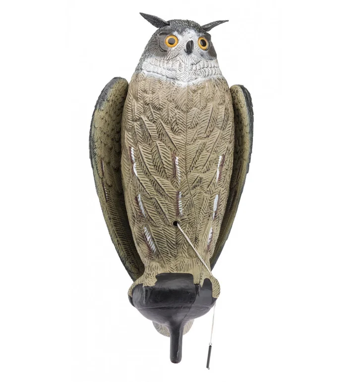 Appelant Grand Duc ailes battantes