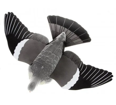 Appelant Pigeon à ailes déployées EVA