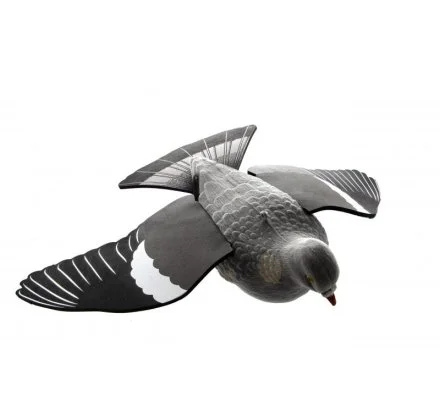 Appelant Pigeon à ailes déployées EVA – Image 2