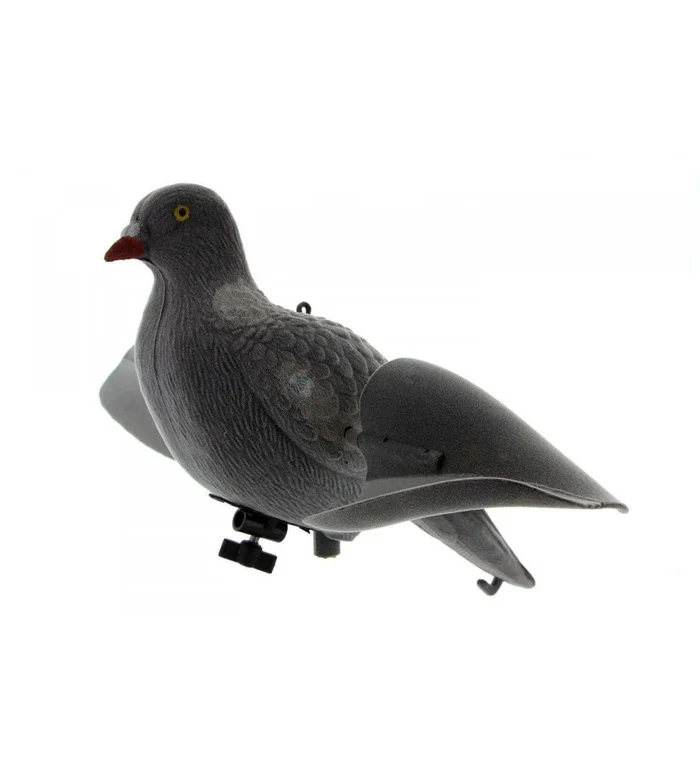 Appelant pigeon ailes tournantes