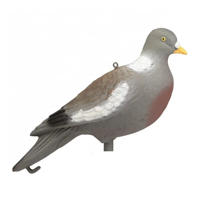 APPELANT PIGEON SANS PATTES