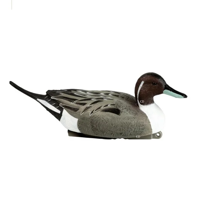 Appelants Stepland HD Pilet Male Par 12