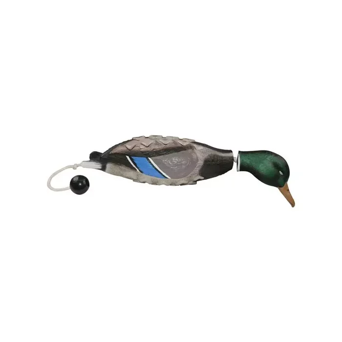 Apportable canard pour chien de chasse