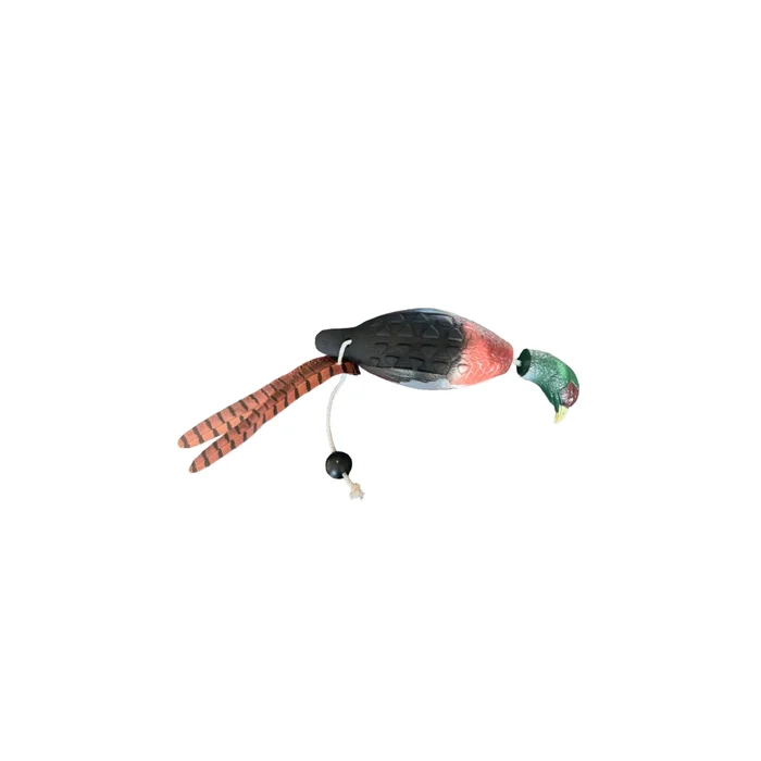 Apportable faisan pour chien de chasse