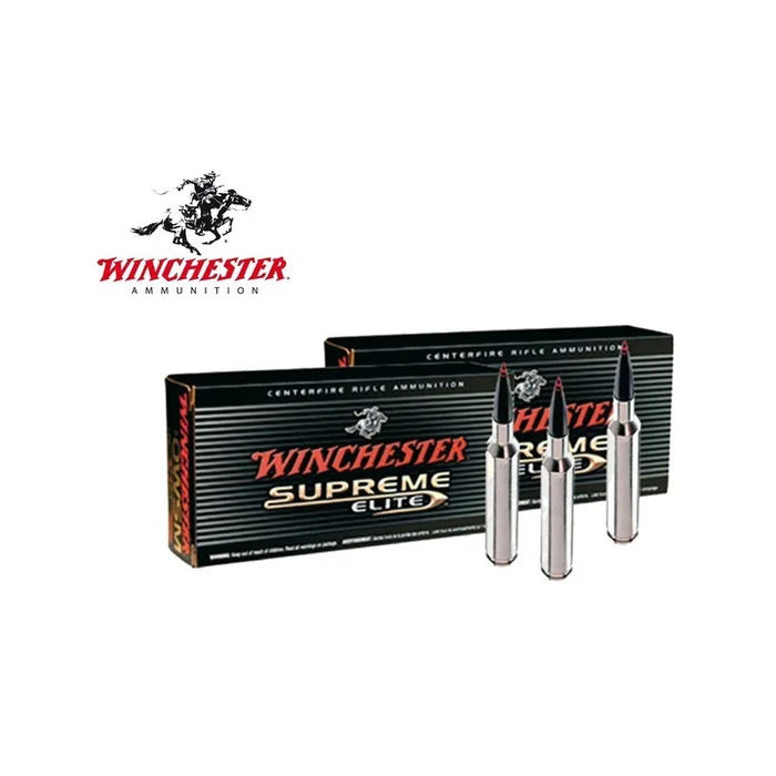 BALLE SUPREME BALLISTIC SILVERTIP 243 WIN 95 WINCHESTER