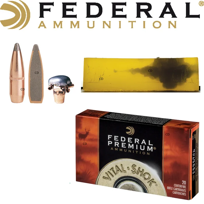 BALLES FEDERAL SIERRA GAMEKING BTSP VITAL SHOK 243WIN 100 Grains PAR 20