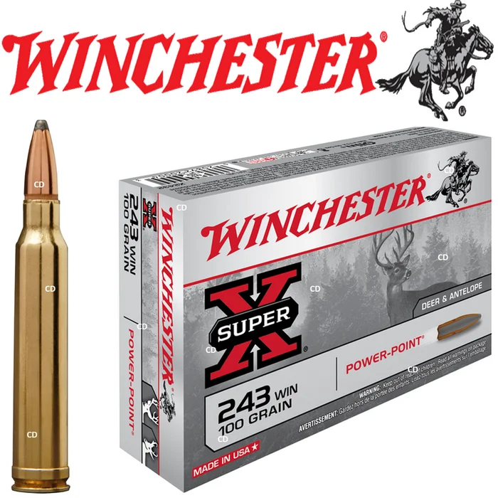 Balles Winchester Super X Power Point 243 Win 100 Grains Par 20