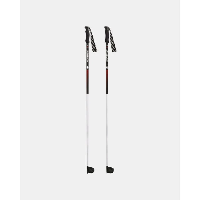 Batons de ski alpin RACE PRO CARBON