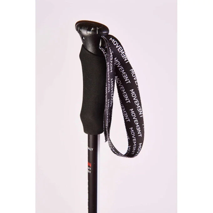 Batons de ski alpin RACE PRO CARBON – Image 2