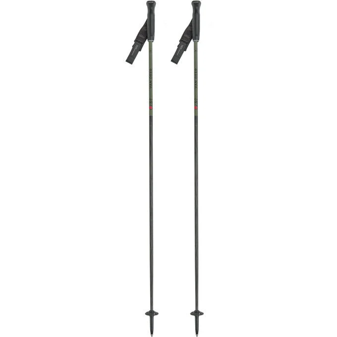 Batons de ski Van Deer PISTE CARBON