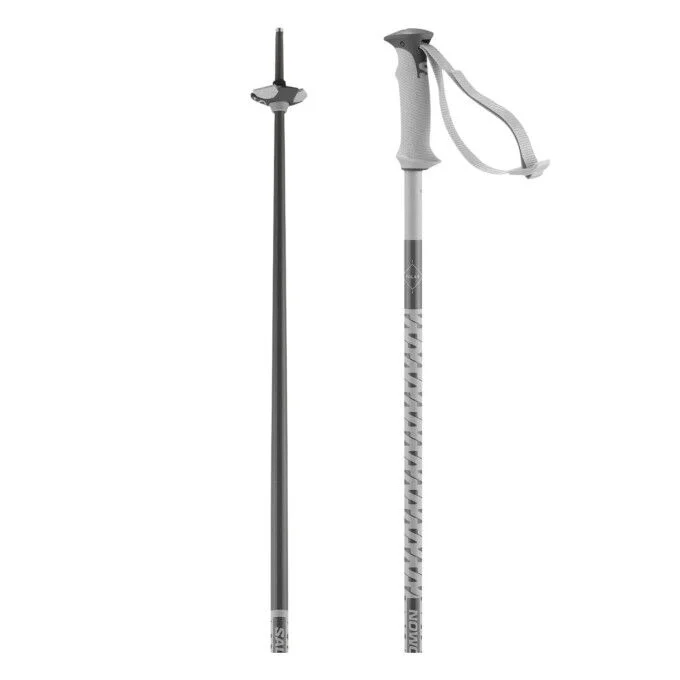 Batons SALOMON Polar – Grey Violet