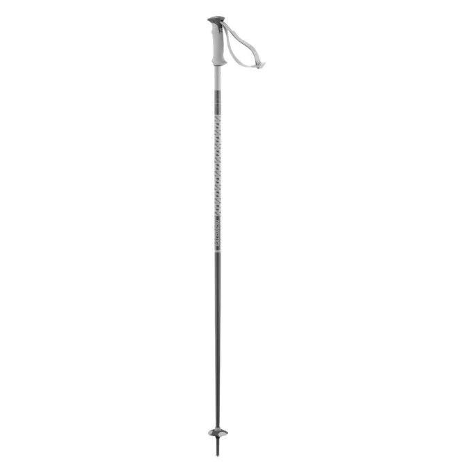 Batons SALOMON Polar – Grey Violet – Image 2
