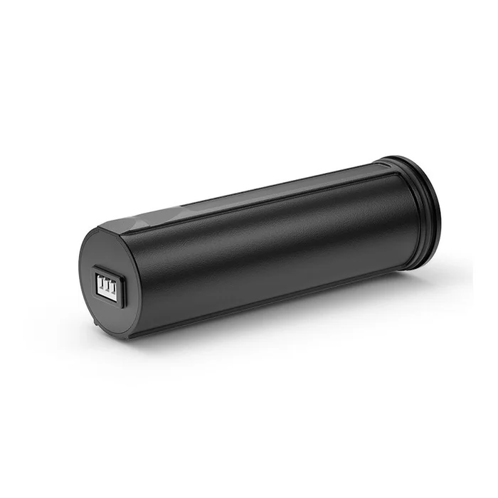 Batterie rechargeable APS3 pour Pulsar