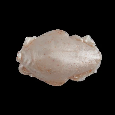 Berkley Gulp! Saltwater Sand Crab Flea – 1″ – Ambre Lumineux