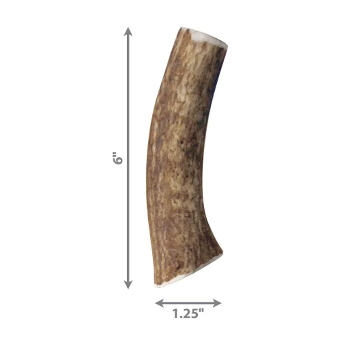 Bois de cerf entier Kong Wild – Moyen – Image 2