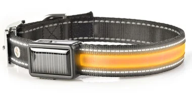 Brite-Strike Collier Lumineux pour Chien – Moyen