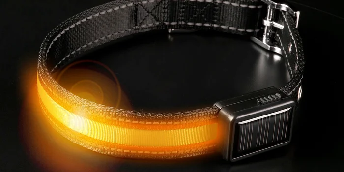 Brite-Strike Collier Lumineux pour Chien – Moyen – Image 2