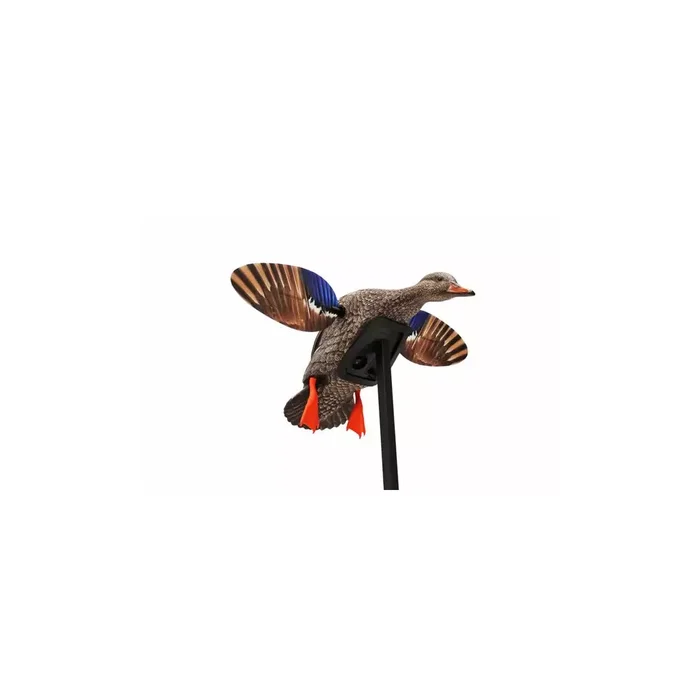 Cane colvert à ailes tournantes Mini Mallard Elite Series Mojo