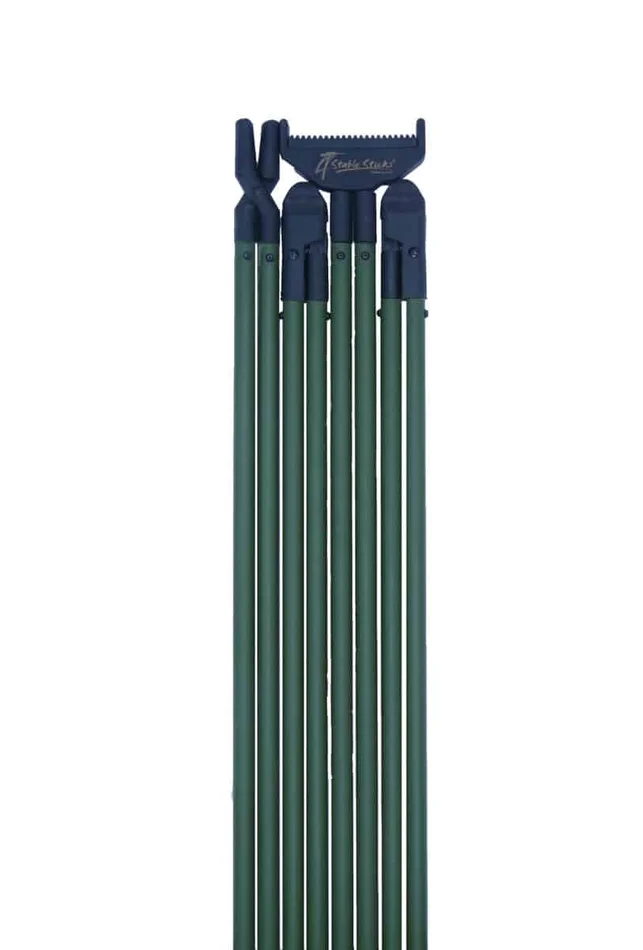 CANNE BUSH ESSENTIAL VERTE