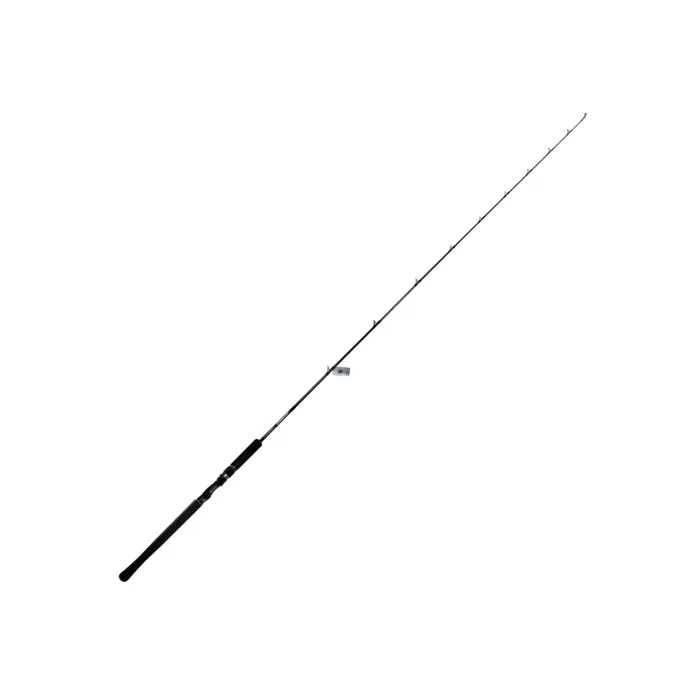 Canne Casting Biwaa The Rampage 711XXH