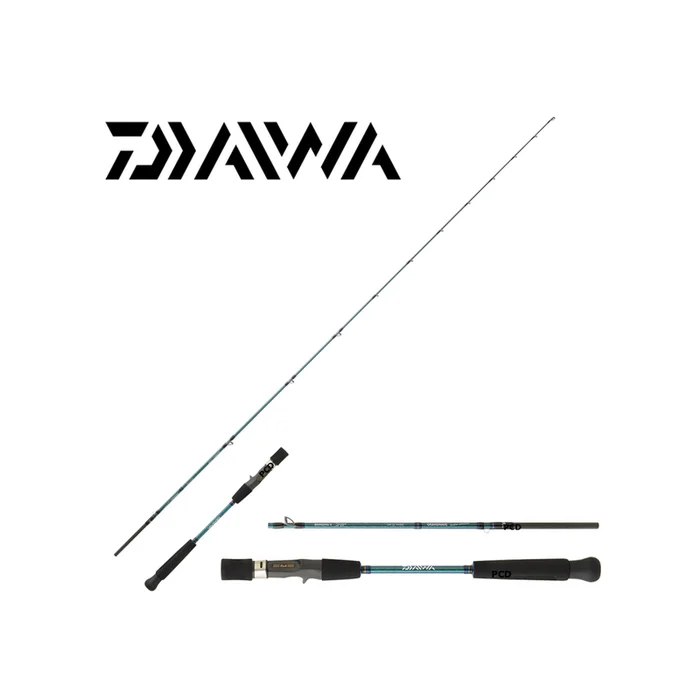 CANNE CASTING DAIWA GRANDWAVE BAITCASTING 66XHBAF