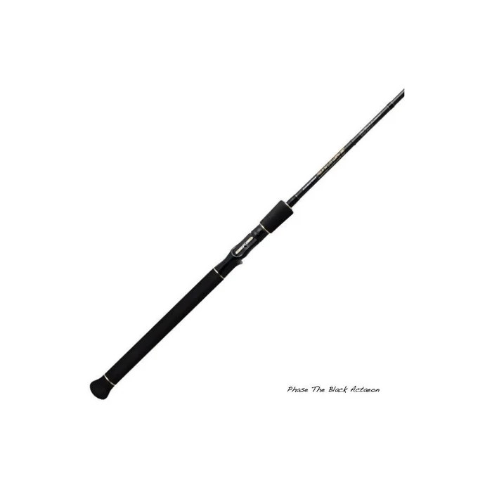 Canne Casting Evergreen Phase The Black Actaeon 74 XH