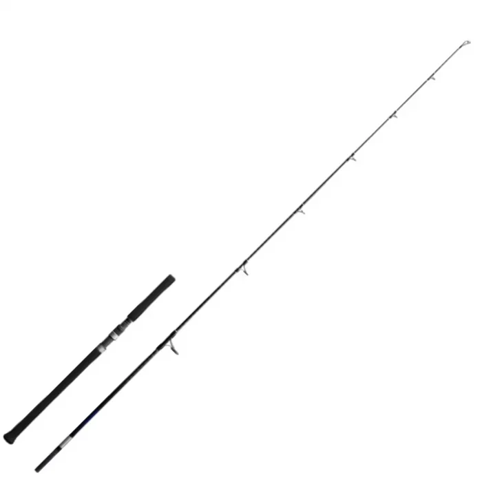 Canne Casting Shimano Grappler BB Type C