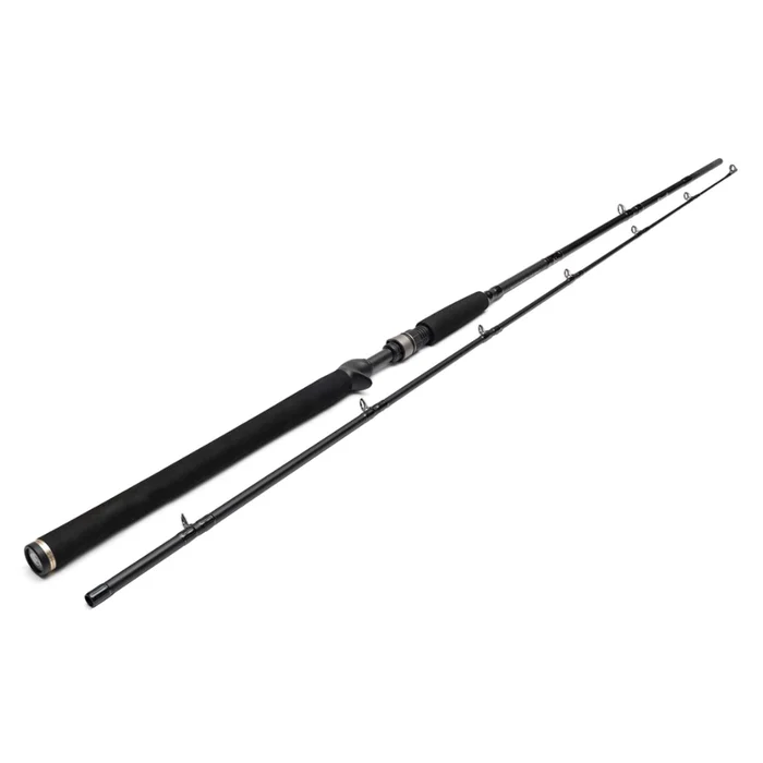 Canne casting Westin W3 Jerkbait-T 2ND