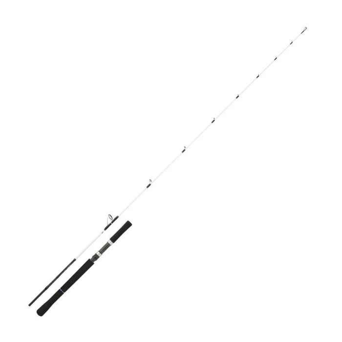 Canne Mer Daiwa Saltist Offshore