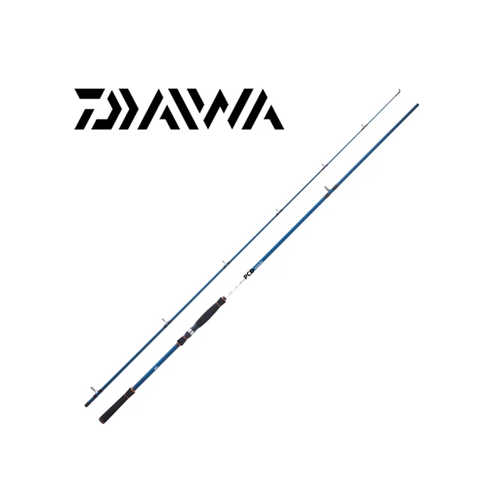 CANNE MER DAIWA SPITFIRE SEABASS 1102 XHFSAF 3M30