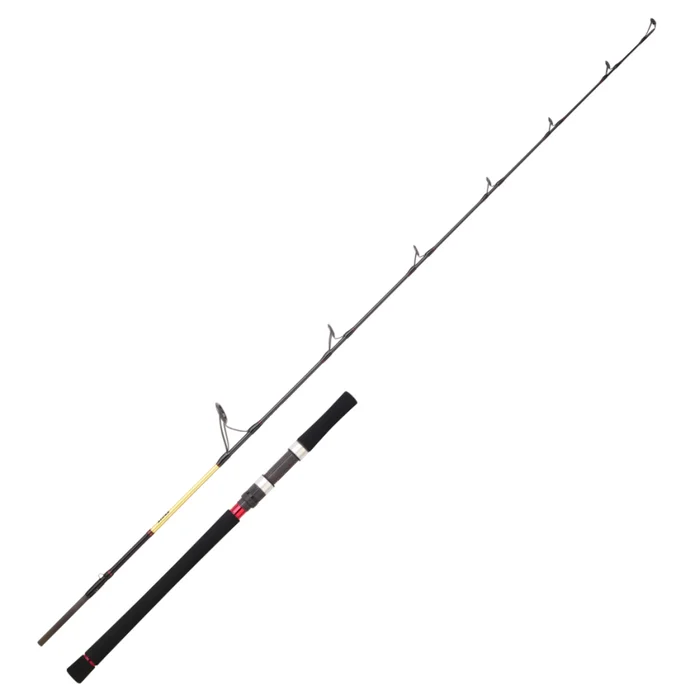 Canne Spinning Daiwa Grandwave Jigging