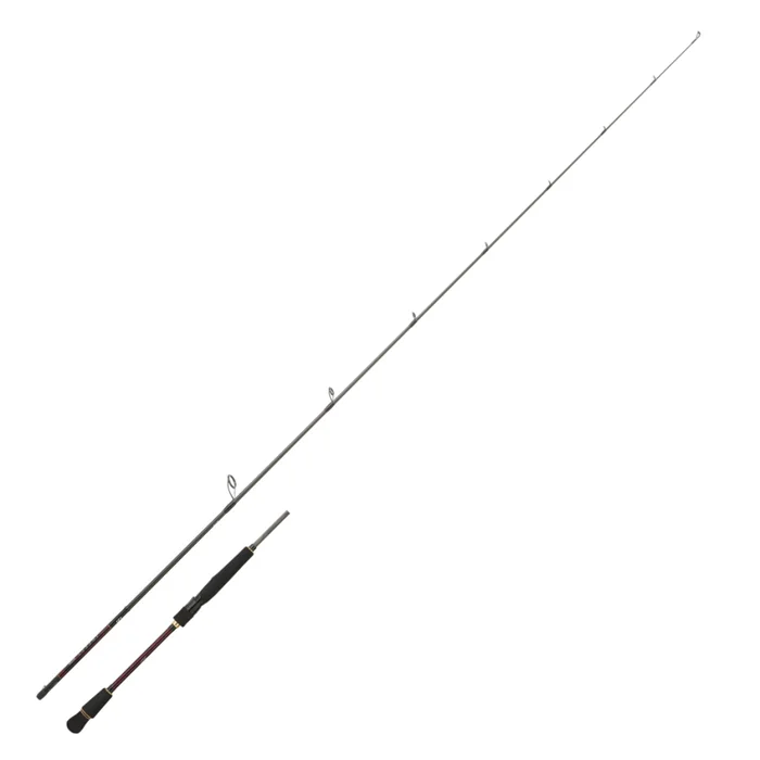 Canne Spinning Daiwa Infeet Seabass 2023