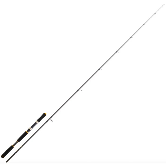 Canne Spinning Mer Daiwa Legalis Seabass AF 2022