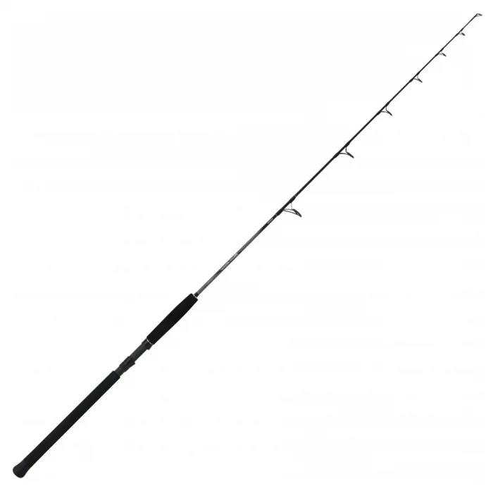 Canne Spinning Shimano Beastmaster Catfish Fireball