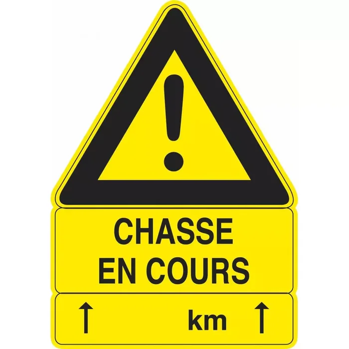 Chasse En Cours