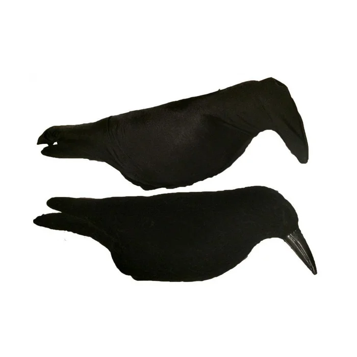 Chaussette pour Corvidés