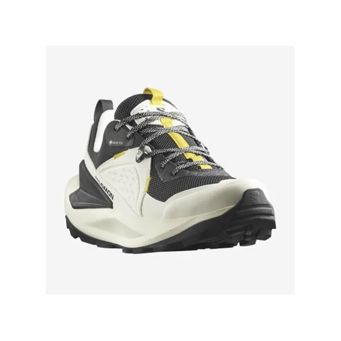 Chaussure Salomon Elixir GTX