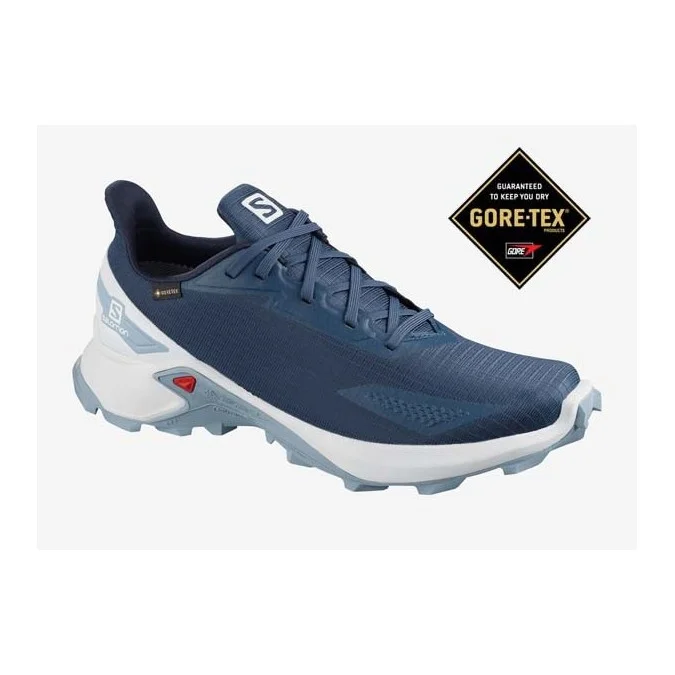 CHAUSSURE TRAIL SALOMON ALPHACROSS BLAST GTX