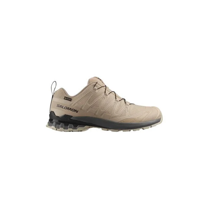 Chaussures de randonnee Salomon XA PRO 3D V9 GTX