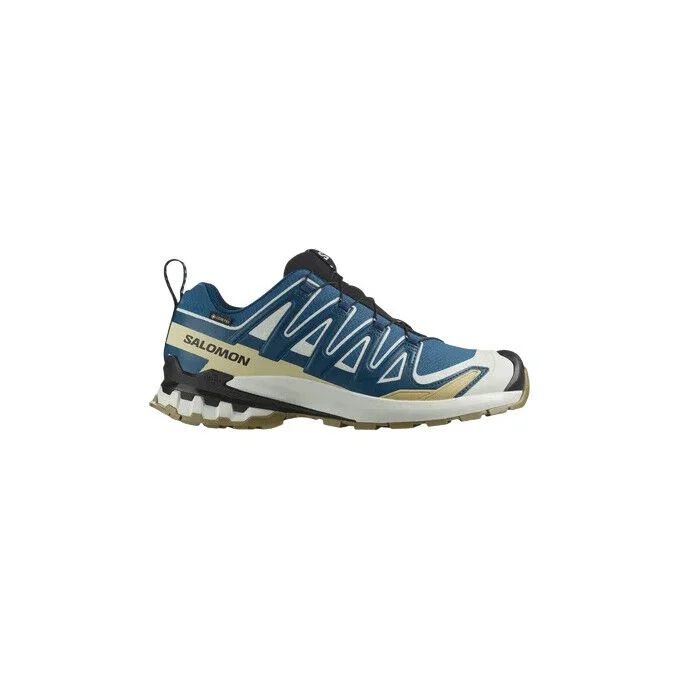 Chaussures de trail Salomon XA PRO 3D V9 GTX DARK