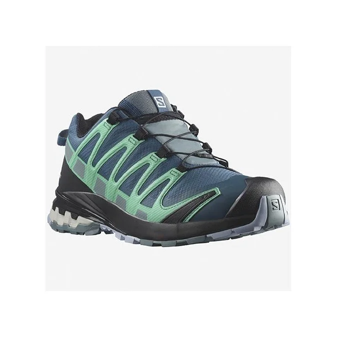 Chaussures Femme Salomon XA Pro 3D V8 GTX