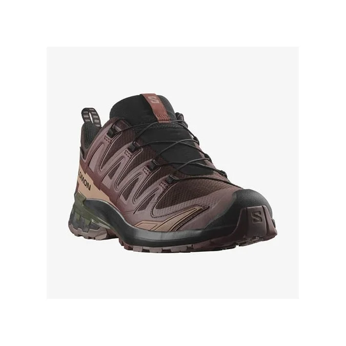 Chaussures Femme Salomon XA Pro 3D V9 GTX
